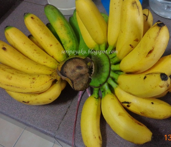 My Kuali: Jemput2 pisang