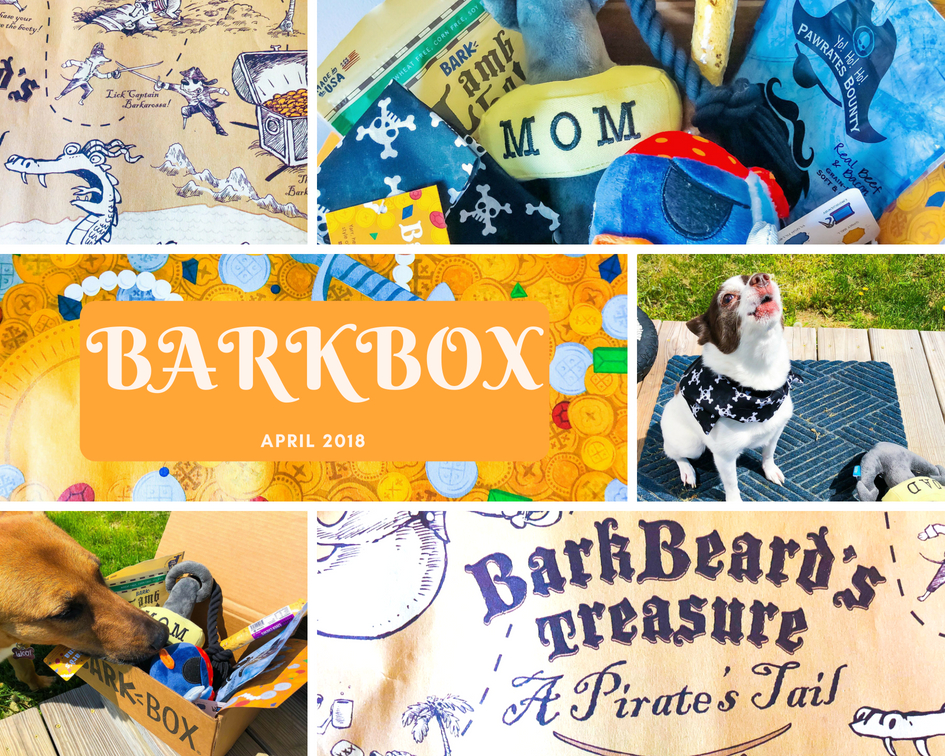 Cuppy Cakes BarkBox April BarkBeard's Treasure A Pirates Tail
