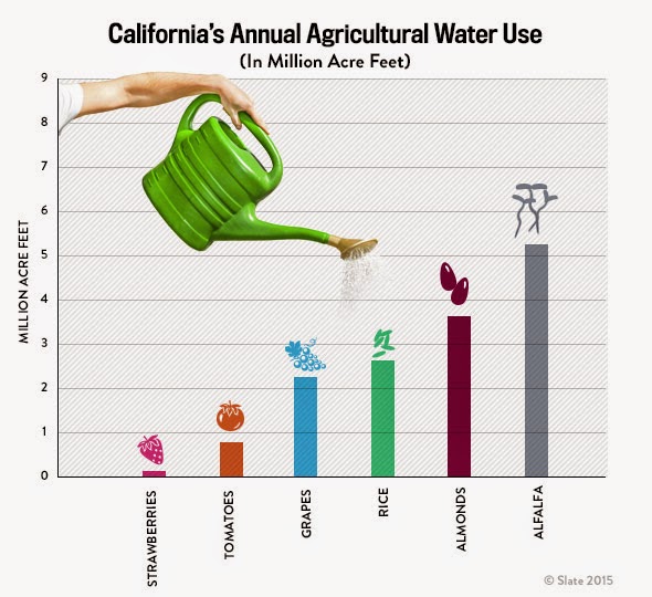 California's Annual Agricultural Water Use (In Million Acre Feet) - Source: Slate http://www.slate.com/content/dam/slate/articles/business/moneybox/2015/04/150417_SLATE_Chart_CaliWater02.jpg.CROP.original-original.jpg