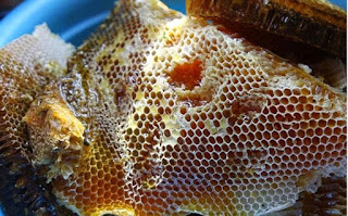 Sáp mật ong nguyên chất