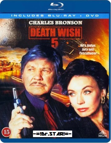 Death Wish V The Face of Death 1994 Dual Audio BRRip 480p 300mb