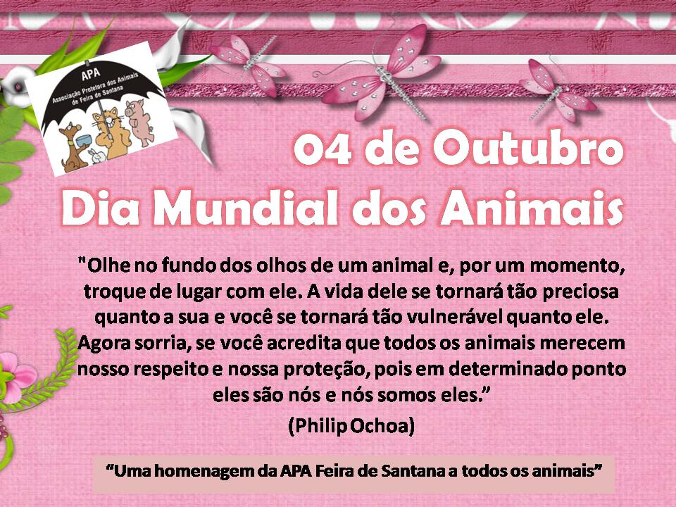 APA Feira de Santana 04 de outubro Dia Mundial dos Animais APA Feira de Santana 04 de outubro Dia Mundial dos Animais