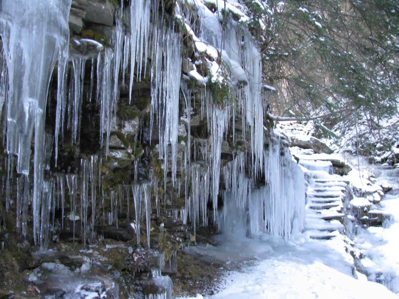 Ricketts Glen in Winter