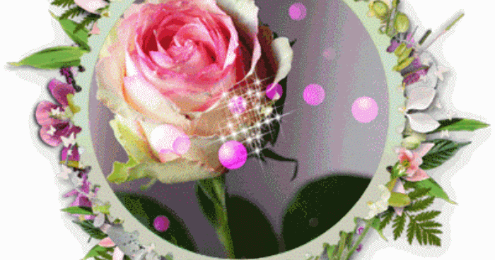 Fiori Compleanno Gif - Gifs Buon Compleanno Fiori Per La Ragazza