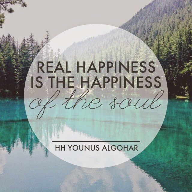 The Official MFI® Blog: Quote of the Day: Real Happiness is...