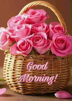 Good Morning Good Morning