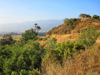 View north from Vista Del Valle Drive toward North Trail