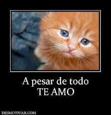 imagenes de amor y frases lindas de amor imagenes de amor y frases lindas de amor