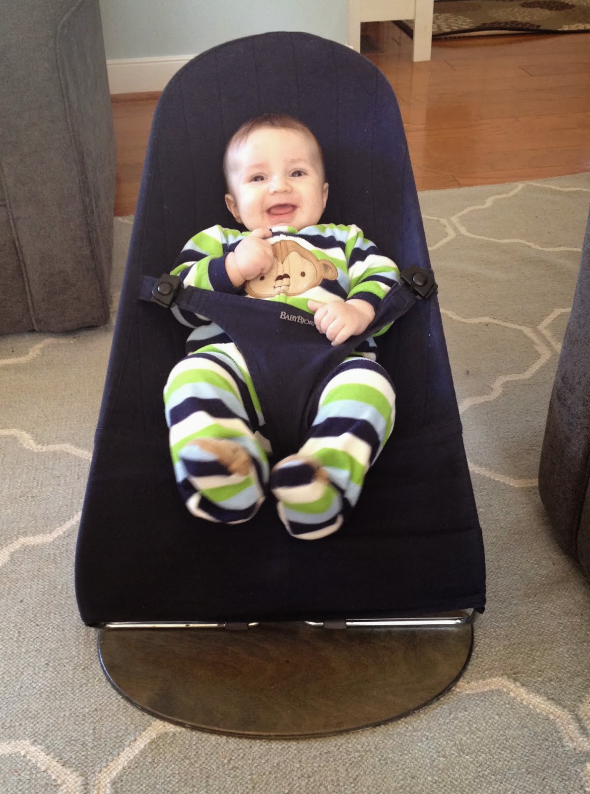 baby bjorn bouncer craigslist