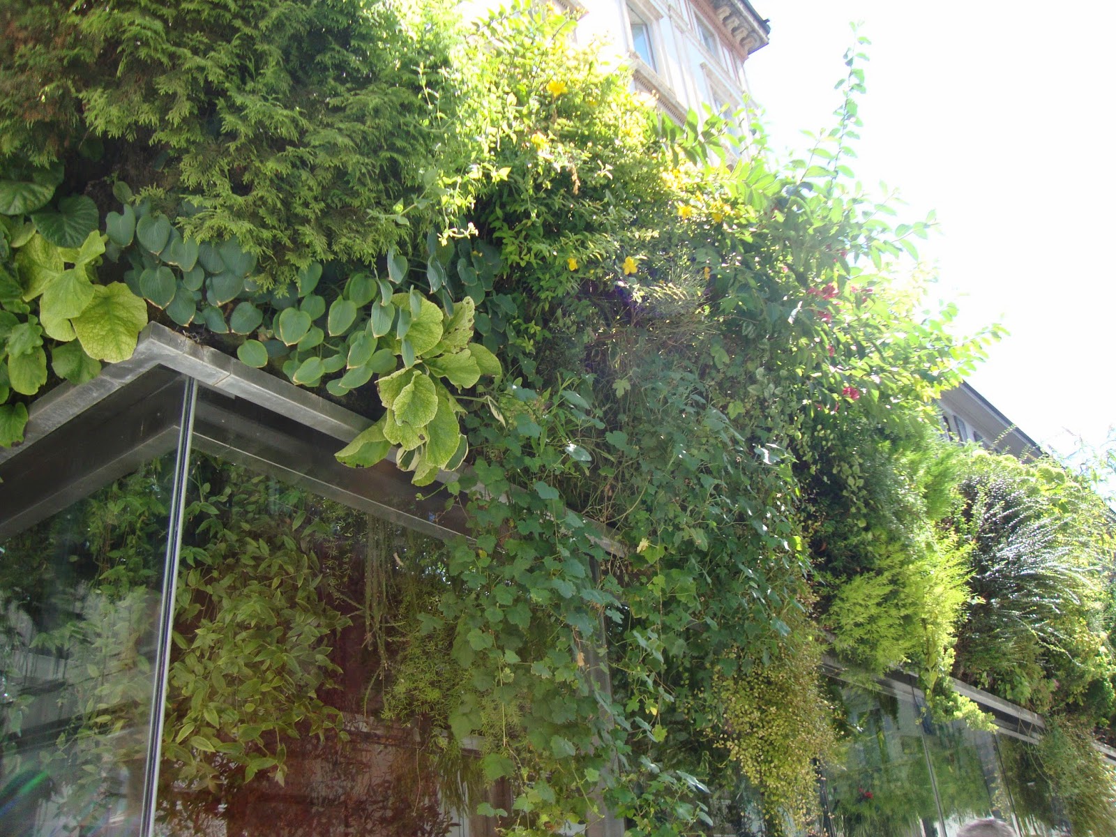 Un piccolo giardino in città: il giardino verticale di patrick blanc ... Giardino in verticale