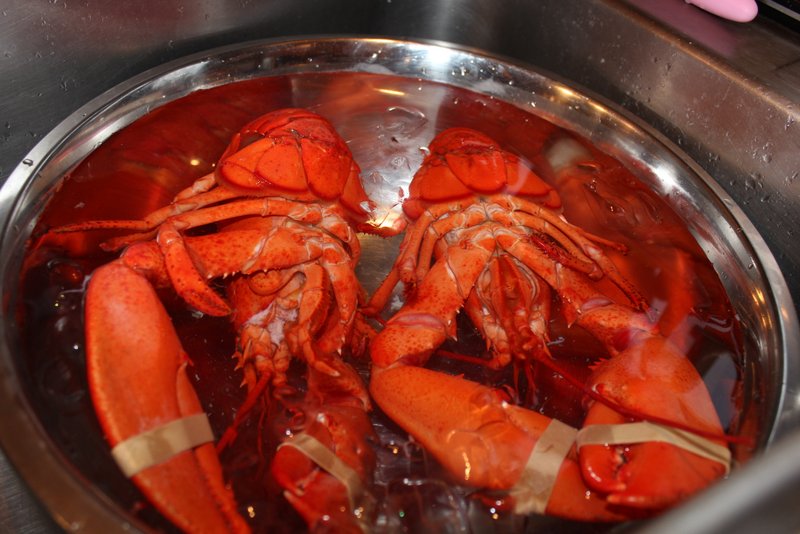 YummyYummySchlurp celery root confit, lobster stock, roasted chestnuts