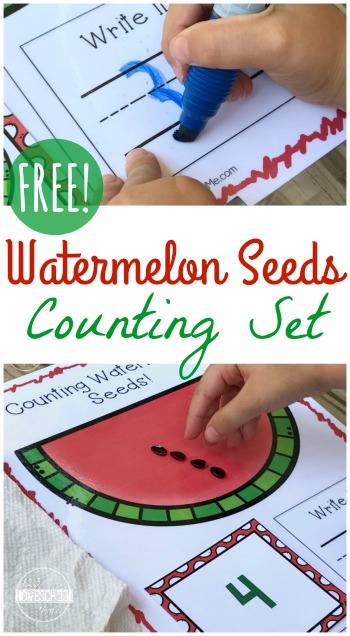FREE Watermelon Seeds Counting Set