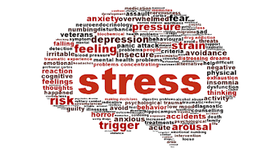 Ini Nih Daftar Nutrisi Penting Anti Stress Ini Nih Daftar Nutrisi Penting Anti Stress