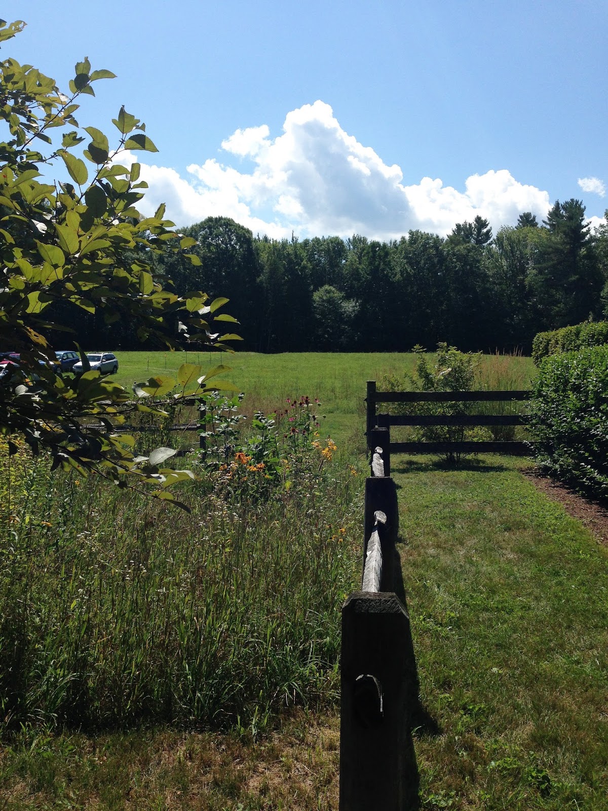 Wonderful Life Farm Garden Tour Juniper Hill Farm