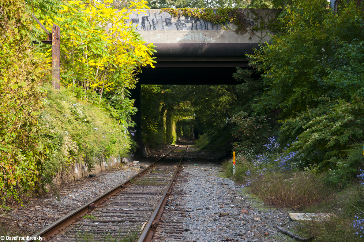 Just some Street Scenes Above and Below NYC The Bay Ridge Branch