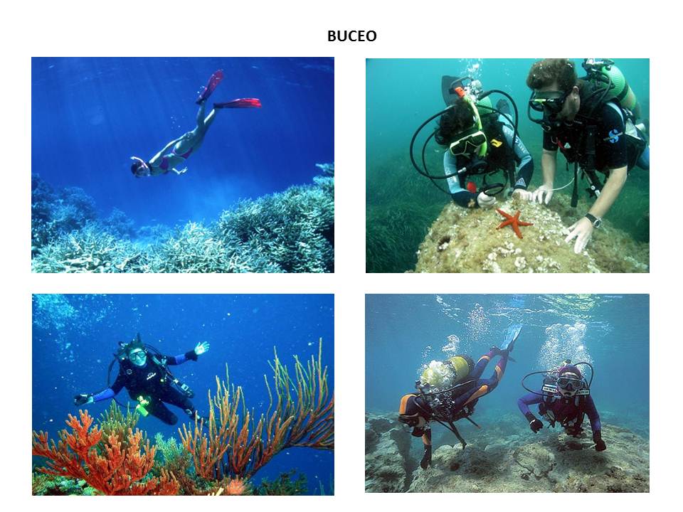 SANMIGUEL COMERCIALIZADORES S.A.S. TURISMO DE RECREACIÓN, DESCANSO Y