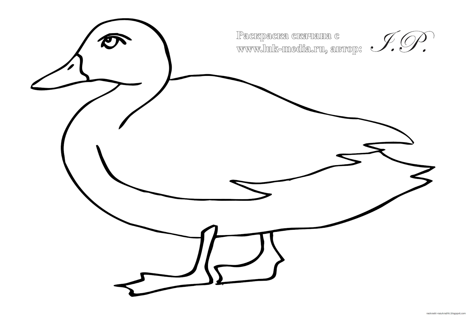 Рисунок утки для раскрашивания