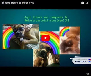 vídeo el perro arcoíris sonríe en CICE de Dennisse video el perro arcoiris sonrie en CICE de Dennisse