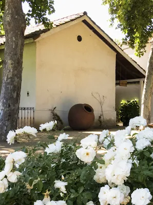 White building, flowers, and a ceramic wine jug at Undurraga Winery outside Santiago Chile