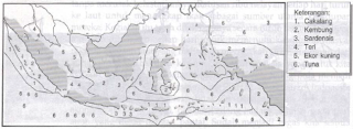 Peta persebaran ikan laut di Indonesia (Sumber: IPS Geografi untuk SLTP kelas 2, Erlangga)