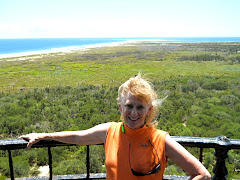 I'm atop Cape Hatteras Light--the Cape is the point out there.  It's really windy & I'm hanging on!
