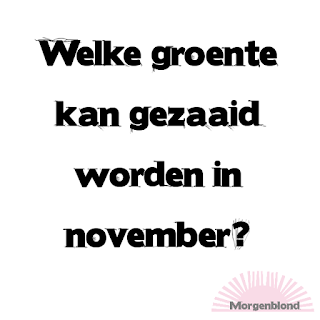 Morgenblond - Moestuin - Zaaien in november