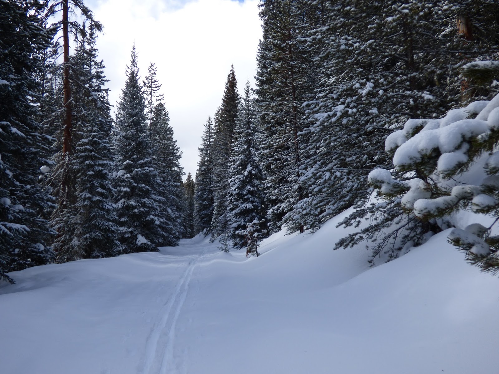 Half and Half Adventures Fraser Experimental Forest Crosscountry