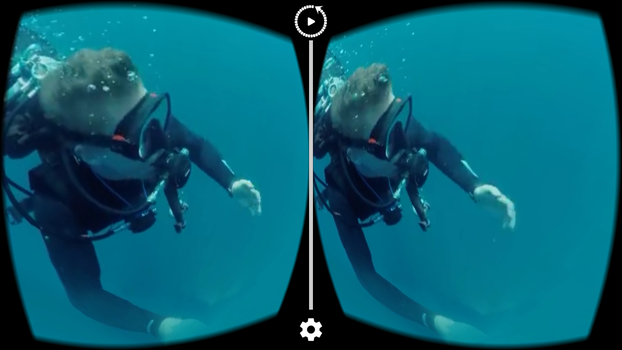 Gopro vr player