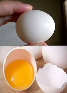 Telur ayam kampung untuk ejakulasi dini