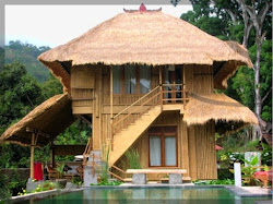 modern bamboo house designs in farmhouse