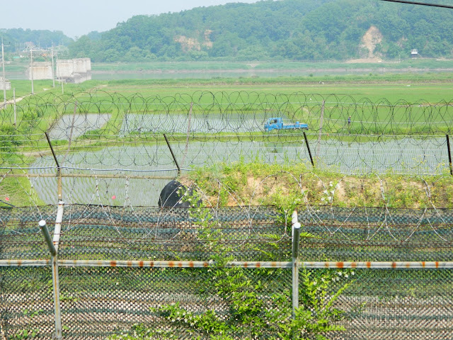 Electric wire fence