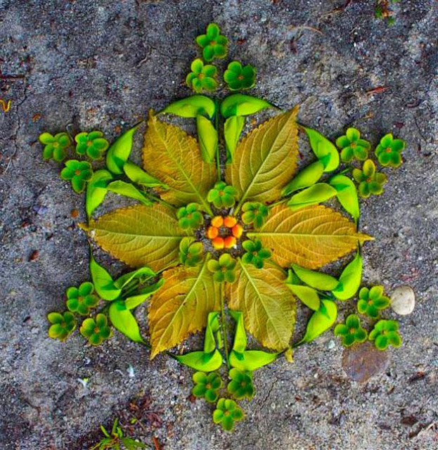 Resultado de imagem para imagens de mandalas de saúde