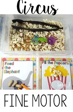 Circus sensory bin sort is a fun way to practice using tongs and scoopers.  Sort the peanuts and the popcorn after you grab them from the bin.  