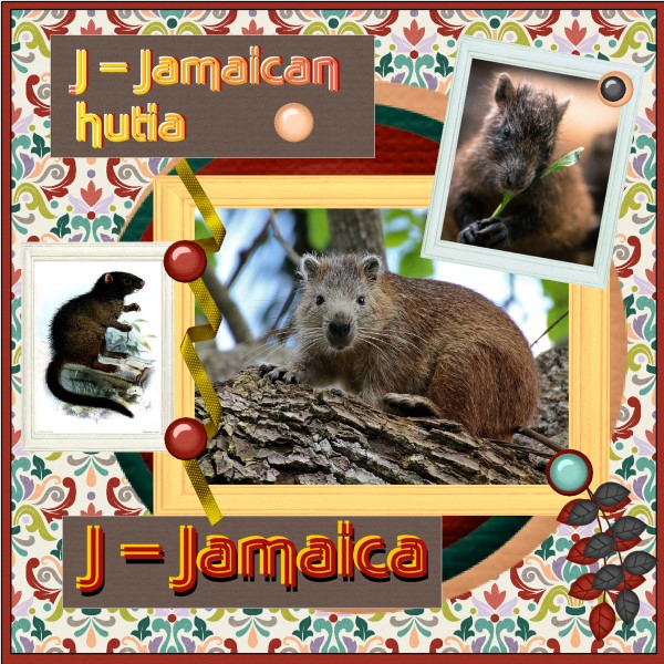Oct. 2016 - J = Jamaican hutia