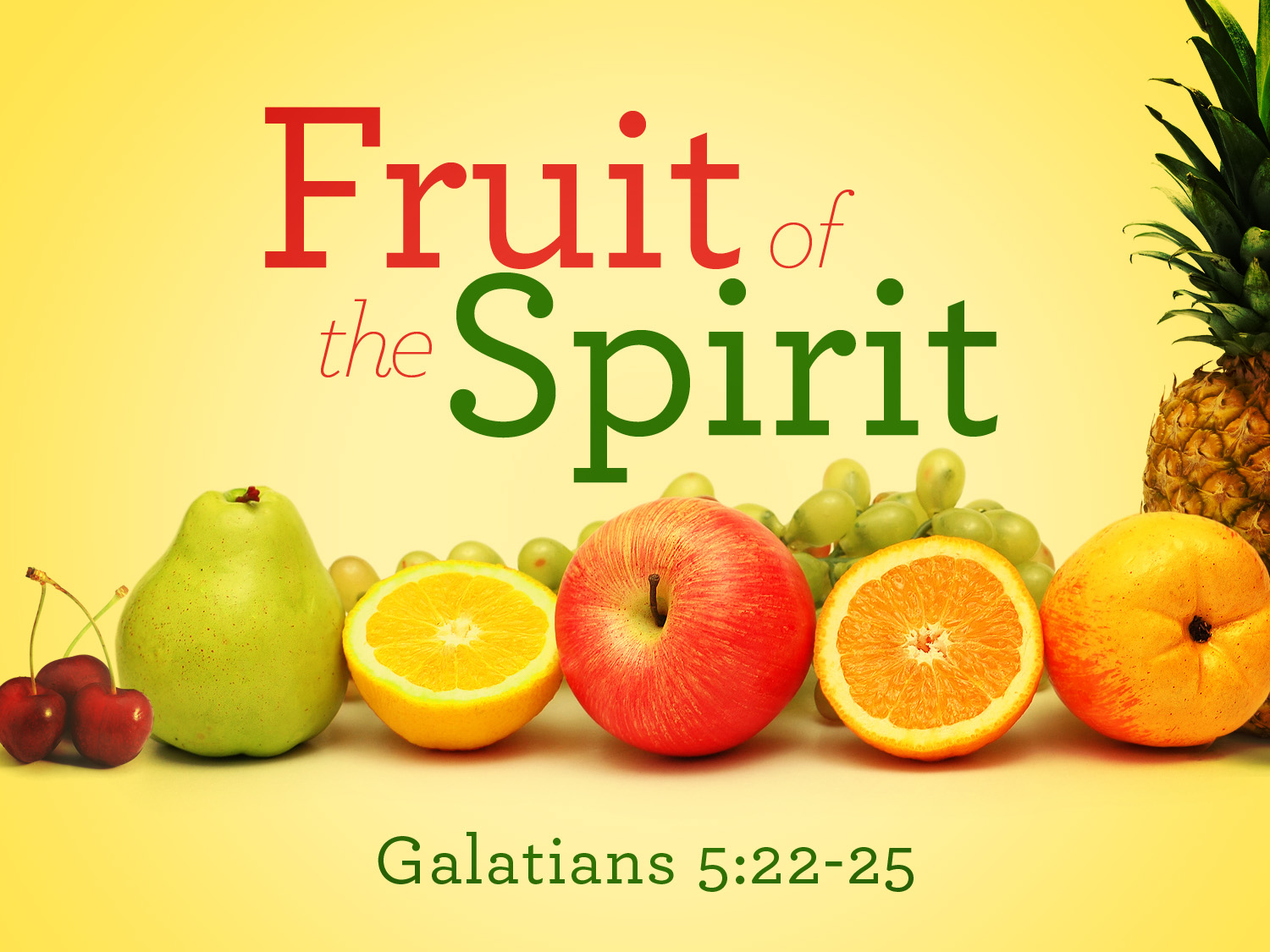 Jon And Kim s Bible Focus The Book Of Galatians jon-and-kim-s-bible-focus-the-book-of-galatians