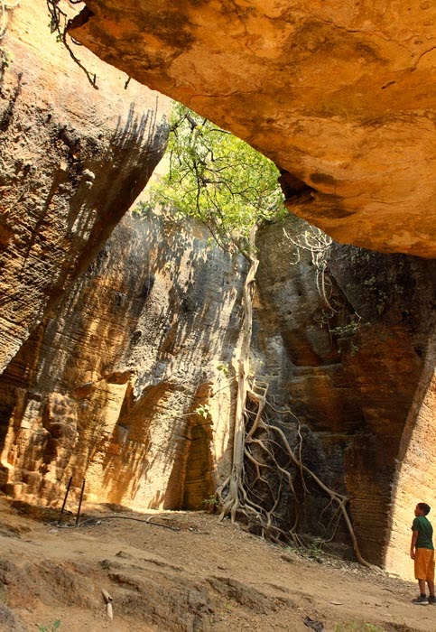 Naida Caves Interiors