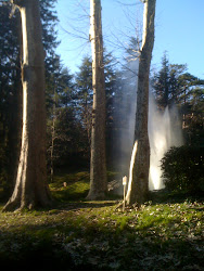 The geyser at Saint-Ferreol