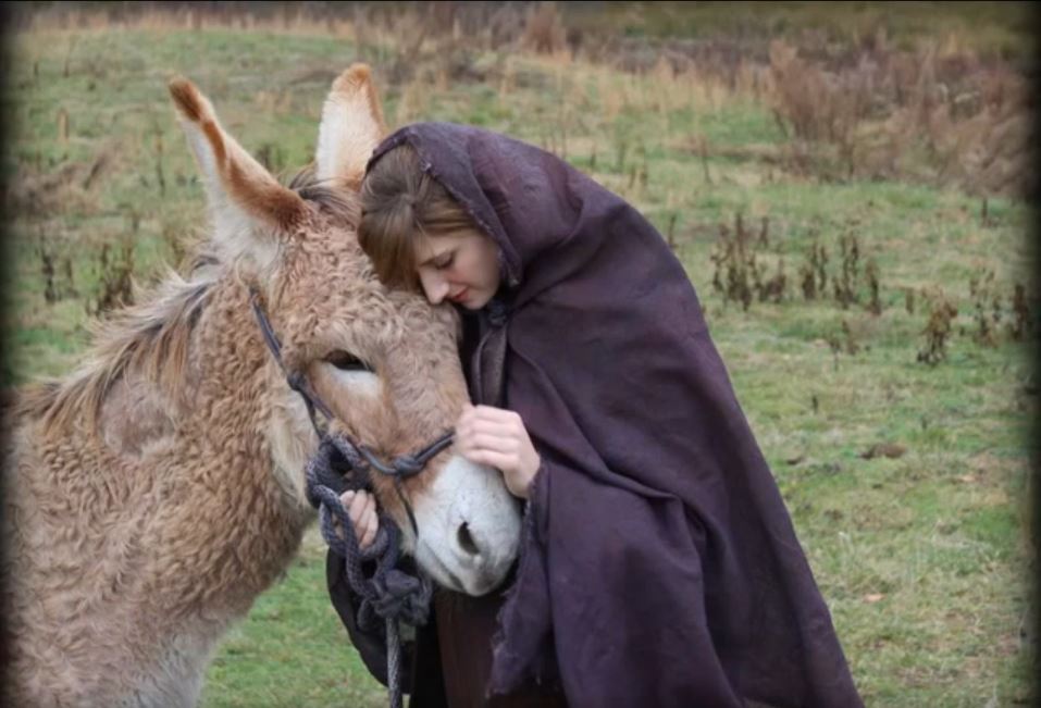 Exceptional Mediocrity The Jerusalem Donkey Legend