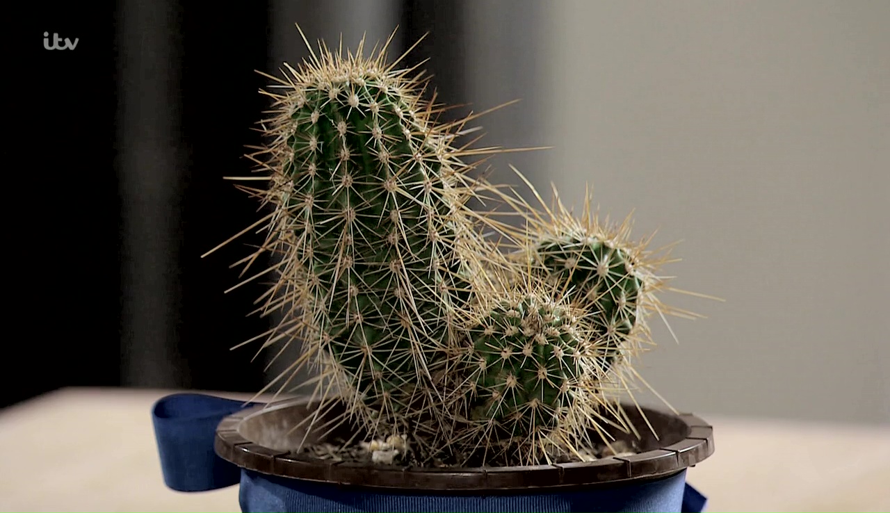 Coronation Street Blog Corrie Weekly Awards for Dec. 4 8