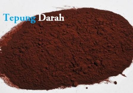 manfaat tepung darah bagi ternak ilmu ternak manfaat tepung darah bagi ternak ilmu ternak