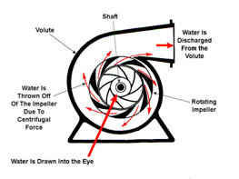 Skema Centrifugal Pumps