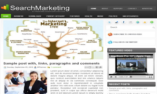 SearchMarketing Blogger Template