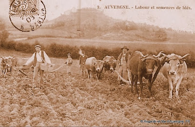 cpa laboureur Auvergne