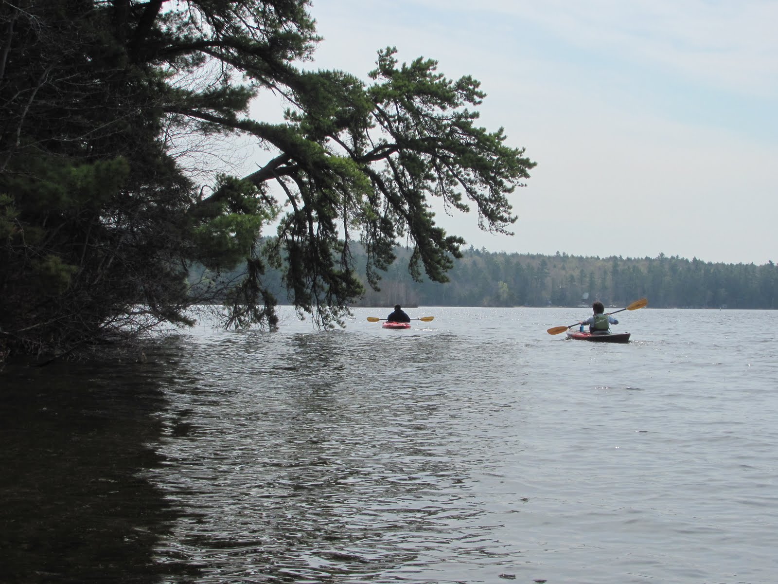 Recreational Kayaking in Maine North Windham, Maine Little Sebago Lake