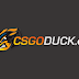 GANHE 1 SKIN POR DIA - CSGODUCK.COM