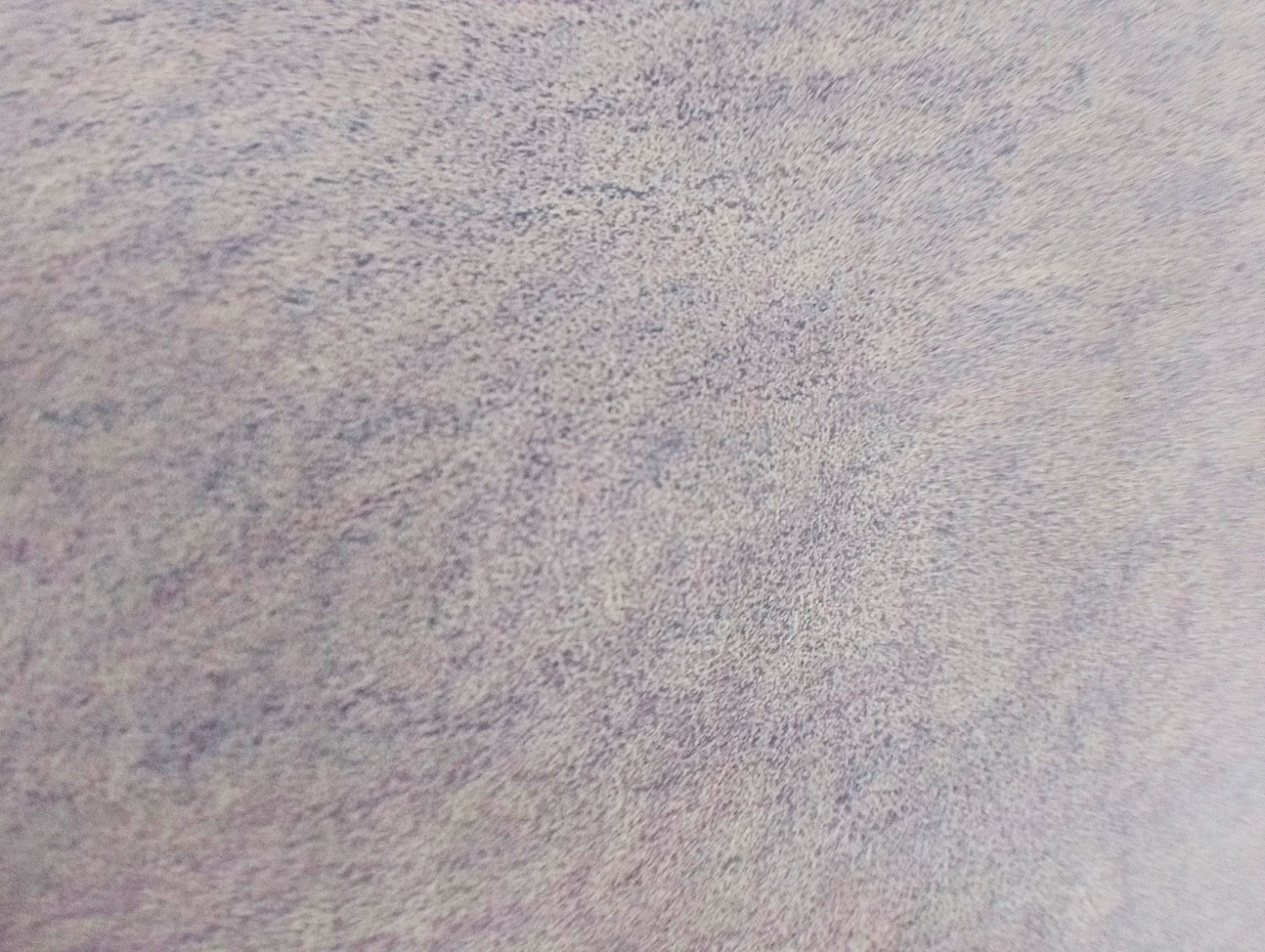 Moores Art Gallery & Design Blog