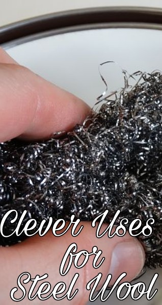 Clever Uses for Steel Wool