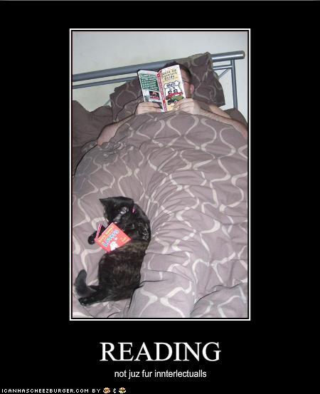True Book Addict Books Cats And More Cat Thursday Cats Reading