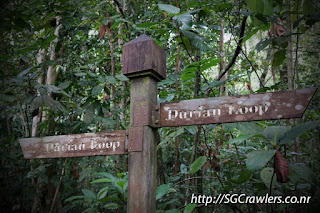 [PHOTOS] 20160424 - Rifle Range Road - Durian Loop Trail Photos DSC02881
