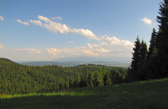 Tuż ponad Przełęczą Knurowską - widok na Kotlinę Nowotarską i Tatry.